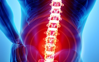 image of a spine
