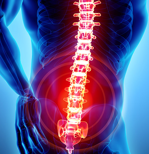 image of a spine