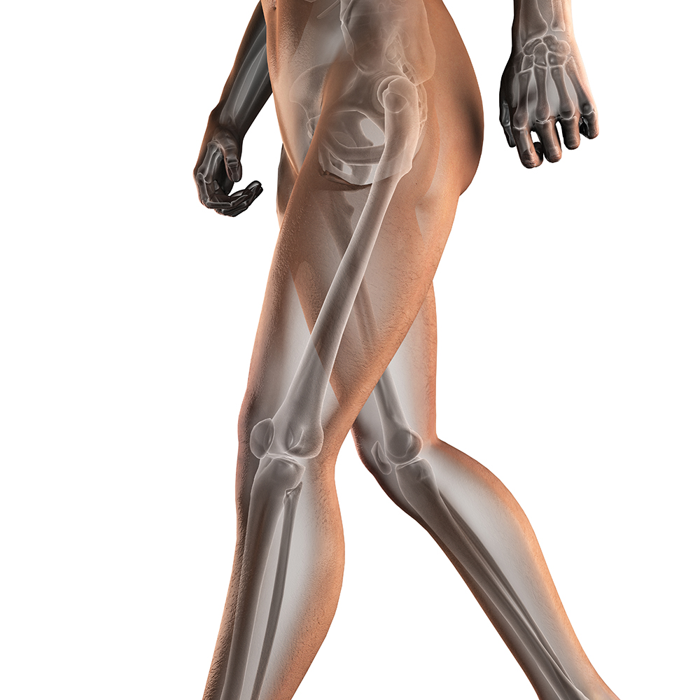 human-radiography-scan-179313948_5000x5000