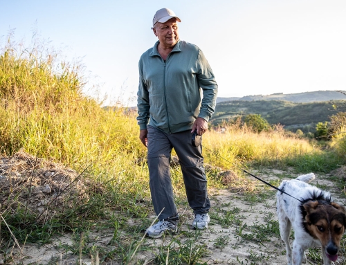 Wesley Chapel Pain Management: Best Practices for Effective Relief