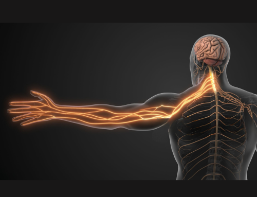 Pinched Nerve in the Back: Causes, Symptoms, and the Best Treatment Options in Tampa Bay